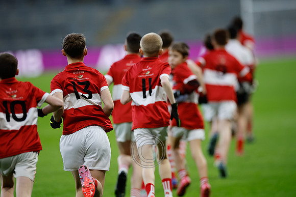 AN DAINGEAN ÓG-PEILEADÓIRÍ 2026-1