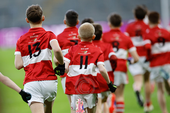 AN DAINGEAN ÓG-PEILEADÓIRÍ 2026-2