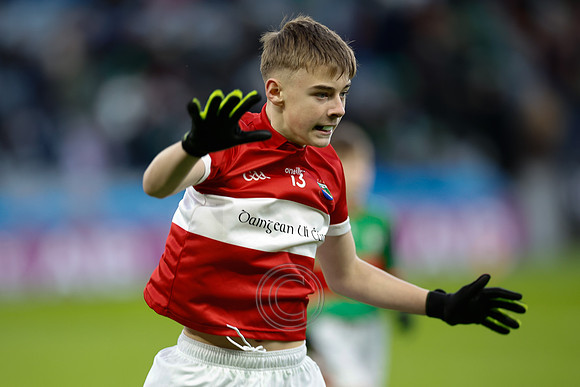 AN DAINGEAN ÓG-PEILEADÓIRÍ 2026-3