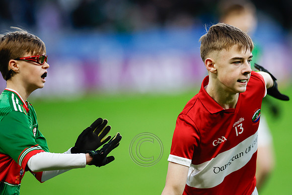 AN DAINGEAN ÓG-PEILEADÓIRÍ 2026-4