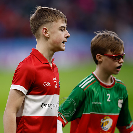 AN DAINGEAN ÓG-PEILEADÓIRÍ 2026-5