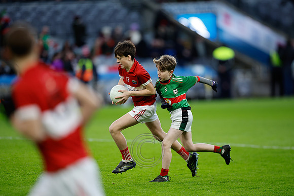 AN DAINGEAN IMIRT-0926