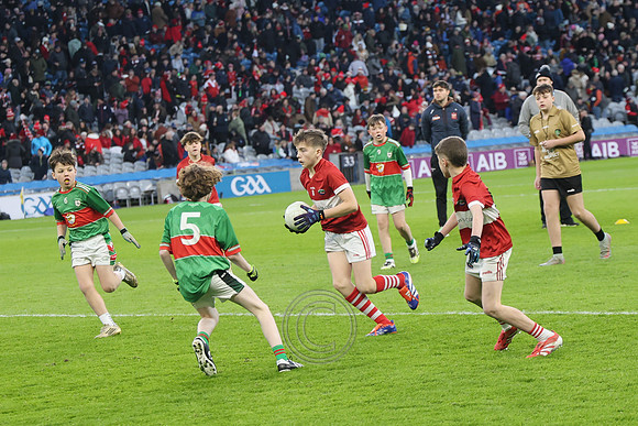 AN DAINGEAN ÓG-PEILEADÓIRÍ 2026-7