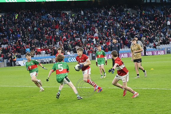 AN DAINGEAN ÓG-PEILEADÓIRÍ 2026-8