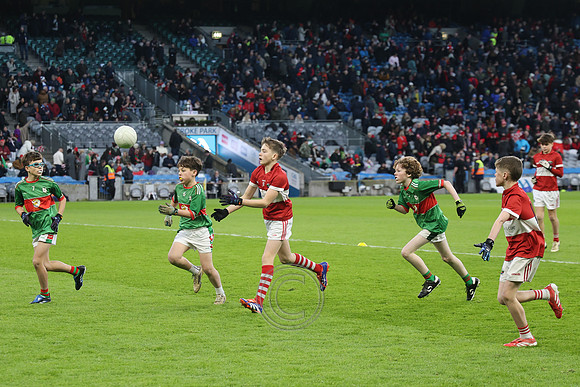 AN DAINGEAN ÓG-PEILEADÓIRÍ 2026-9