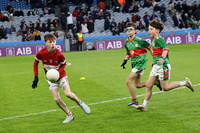 AN DAINGEAN ÓG-PEILEADÓIRÍ 2026-10