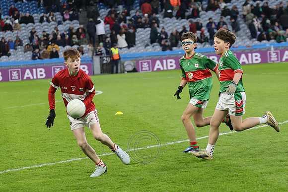 AN DAINGEAN ÓG-PEILEADÓIRÍ 2026-10