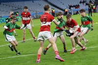 AN DAINGEAN ÓG-PEILEADÓIRÍ 2026-11