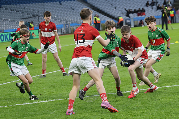 AN DAINGEAN ÓG-PEILEADÓIRÍ 2026-11