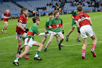 AN DAINGEAN ÓG-PEILEADÓIRÍ 2026-12