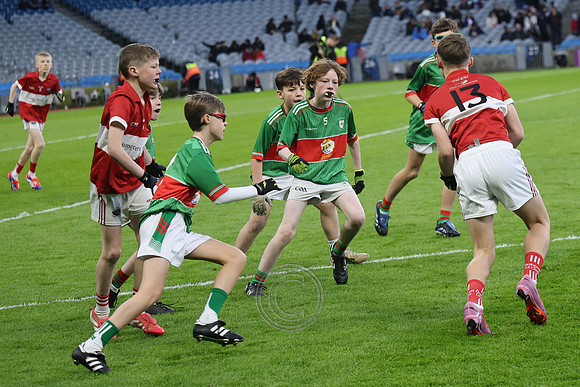 AN DAINGEAN ÓG-PEILEADÓIRÍ 2026-12