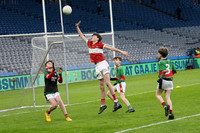 AN DAINGEAN ÓG-PEILEADÓIRÍ 2026-14