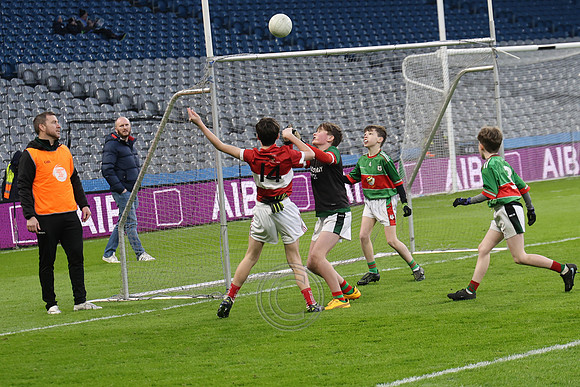 AN DAINGEAN ÓG-PEILEADÓIRÍ 2026-15