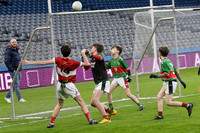 AN DAINGEAN ÓG-PEILEADÓIRÍ 2026-16