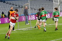 AN DAINGEAN ÓG-PEILEADÓIRÍ 2026-17