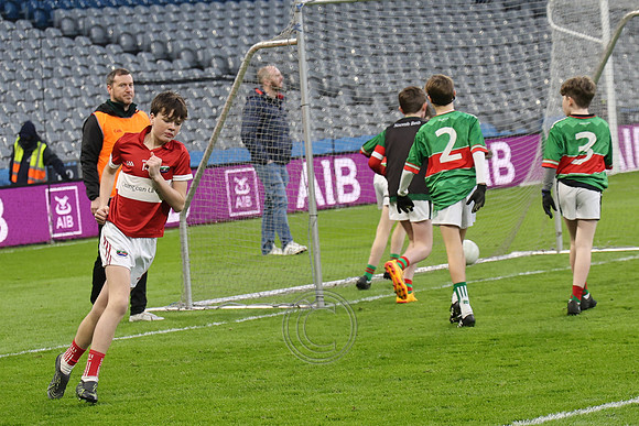 AN DAINGEAN ÓG-PEILEADÓIRÍ 2026-17