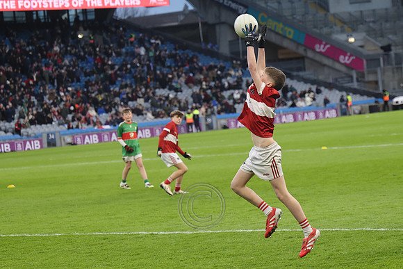 AN DAINGEAN ÓG-PEILEADÓIRÍ 2026-18