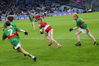AN DAINGEAN ÓG-PEILEADÓIRÍ 2026-19