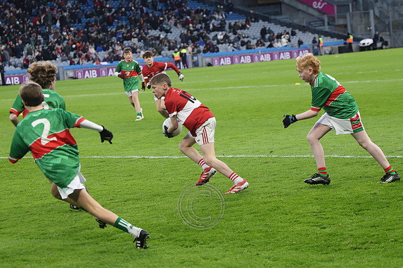 AN DAINGEAN ÓG-PEILEADÓIRÍ 2026-19