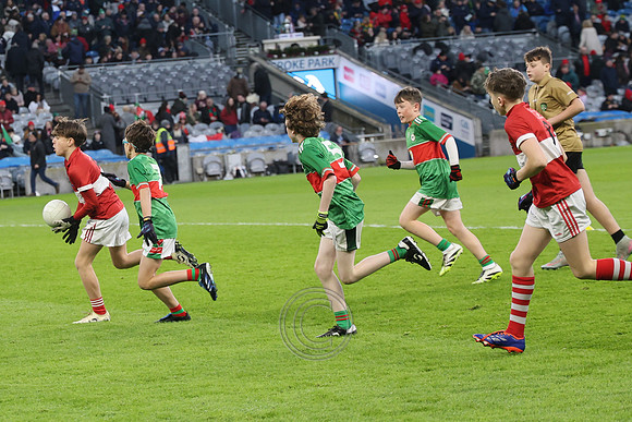AN DAINGEAN ÓG-PEILEADÓIRÍ 2026-20