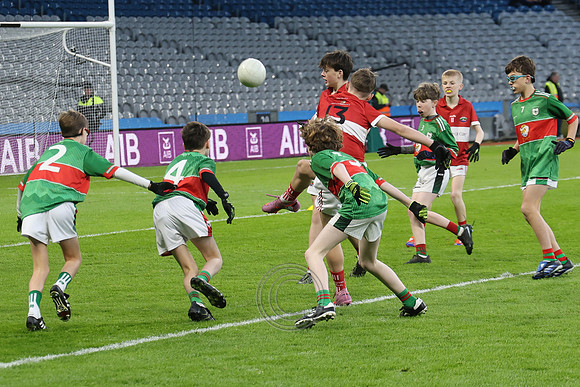 AN DAINGEAN ÓG-PEILEADÓIRÍ 2026-24