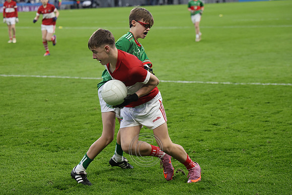AN DAINGEAN ÓG-PEILEADÓIRÍ 2026-28