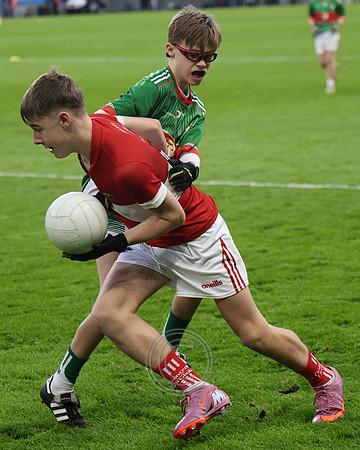 AN DAINGEAN ÓG-PEILEADÓIRÍ 2026-29