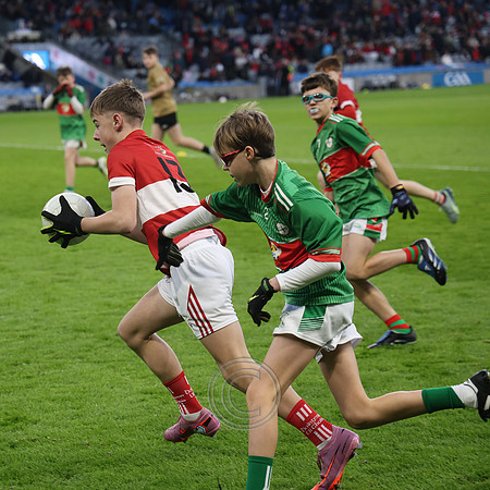 AN DAINGEAN ÓG-PEILEADÓIRÍ 2026-30