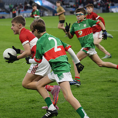 AN DAINGEAN ÓG-PEILEADÓIRÍ 2026-31