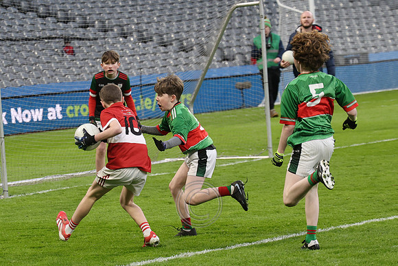 AN DAINGEAN ÓG-PEILEADÓIRÍ 2026-32