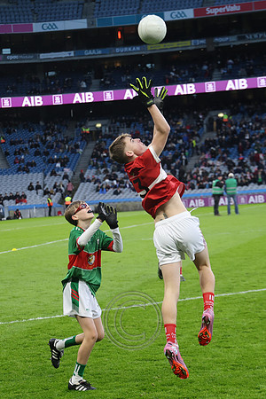 AN DAINGEAN ÓG-PEILEADÓIRÍ 2026-37