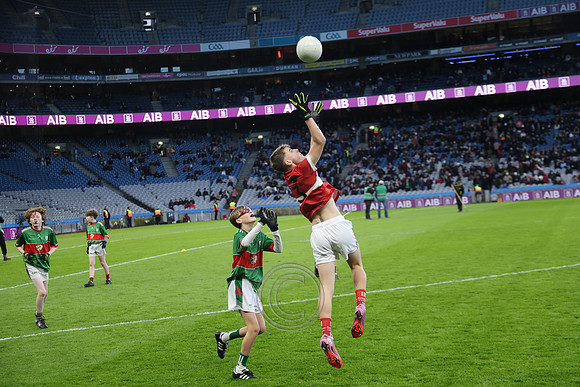 AN DAINGEAN ÓG-PEILEADÓIRÍ 2026-37-2