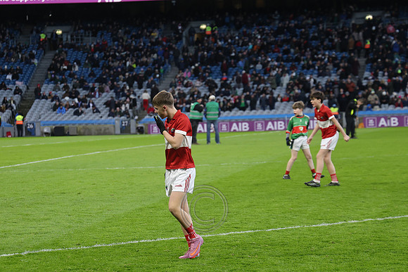 AN DAINGEAN ÓG-PEILEADÓIRÍ 2026-38