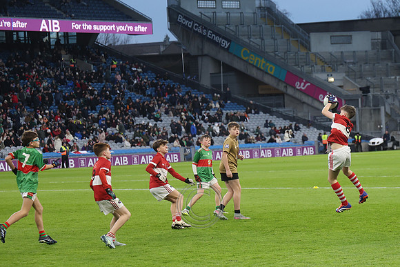 AN DAINGEAN ÓG-PEILEADÓIRÍ 2026-39