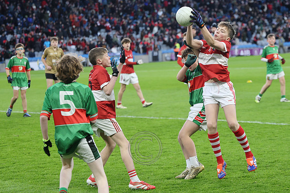 AN DAINGEAN ÓG-PEILEADÓIRÍ 2026-41