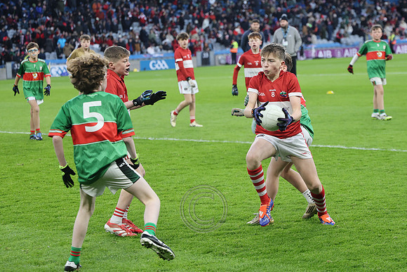 AN DAINGEAN ÓG-PEILEADÓIRÍ 2026-42