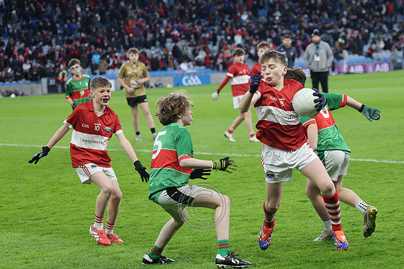 AN DAINGEAN ÓG-PEILEADÓIRÍ 2026-43
