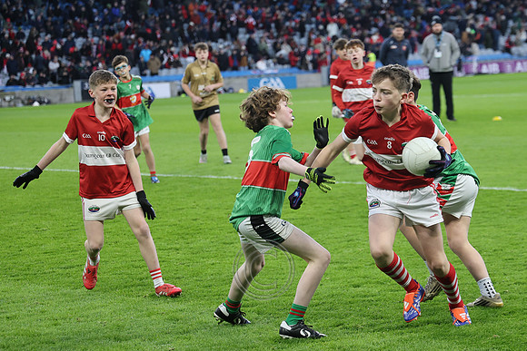 AN DAINGEAN ÓG-PEILEADÓIRÍ 2026-44