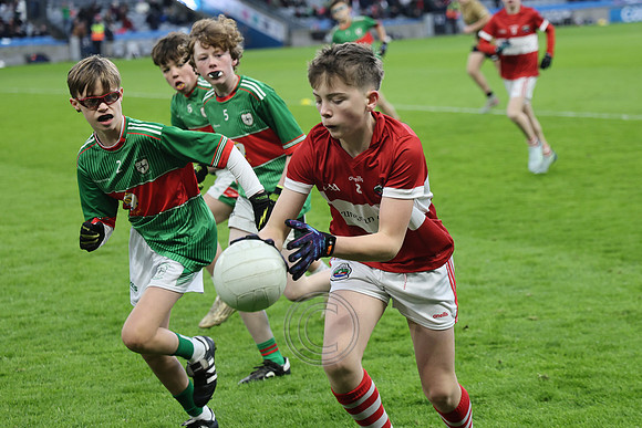 AN DAINGEAN ÓG-PEILEADÓIRÍ 2026-45