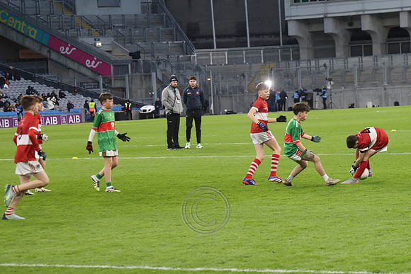 AN DAINGEAN ÓG-PEILEADÓIRÍ 2026-47