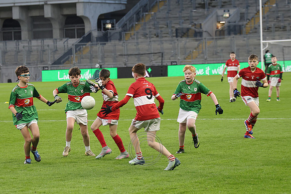 AN DAINGEAN ÓG-PEILEADÓIRÍ 2026-48