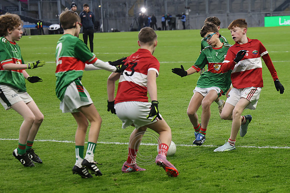 AN DAINGEAN ÓG-PEILEADÓIRÍ 2026-49
