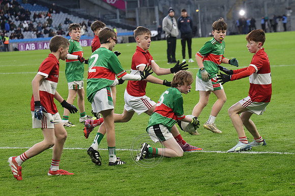 AN DAINGEAN ÓG-PEILEADÓIRÍ 2026-50