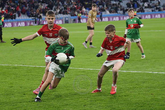 AN DAINGEAN ÓG-PEILEADÓIRÍ 2026-51