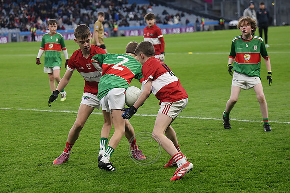 AN DAINGEAN ÓG-PEILEADÓIRÍ 2026-52