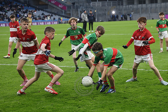 AN DAINGEAN ÓG-PEILEADÓIRÍ 2026-53
