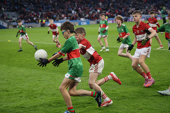 AN DAINGEAN ÓG-PEILEADÓIRÍ 2026-54