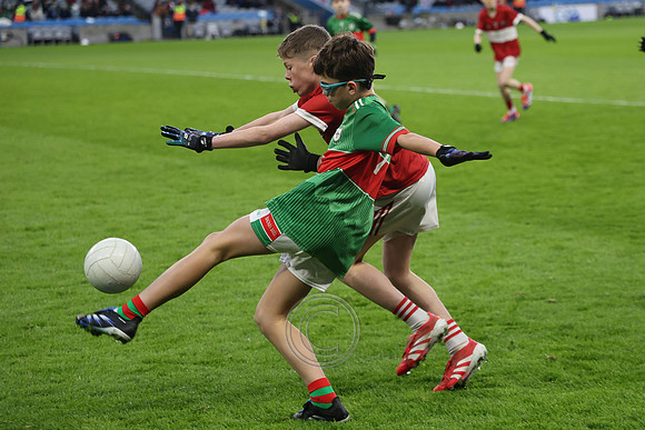 AN DAINGEAN ÓG-PEILEADÓIRÍ 2026-55