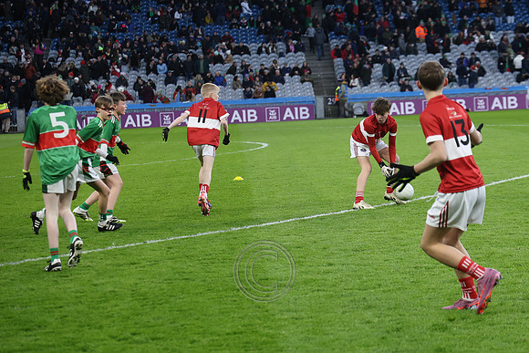 AN DAINGEAN ÓG-PEILEADÓIRÍ 2026-57