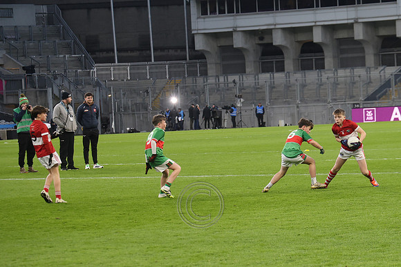 AN DAINGEAN ÓG-PEILEADÓIRÍ 2026-58